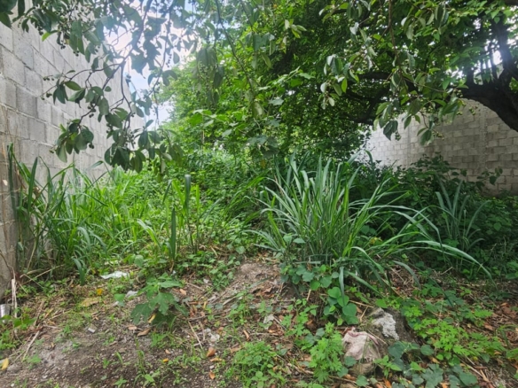 3 LOTES EN VENTA – LOTIFICACIÓN SAN NICOLÁS