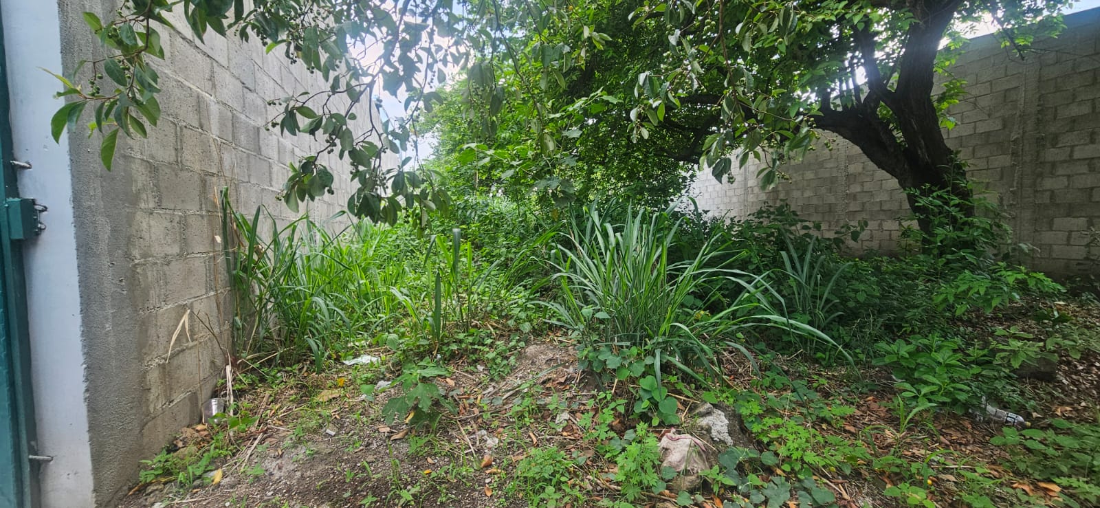 3 LOTES EN VENTA – LOTIFICACIÓN SAN NICOLÁS