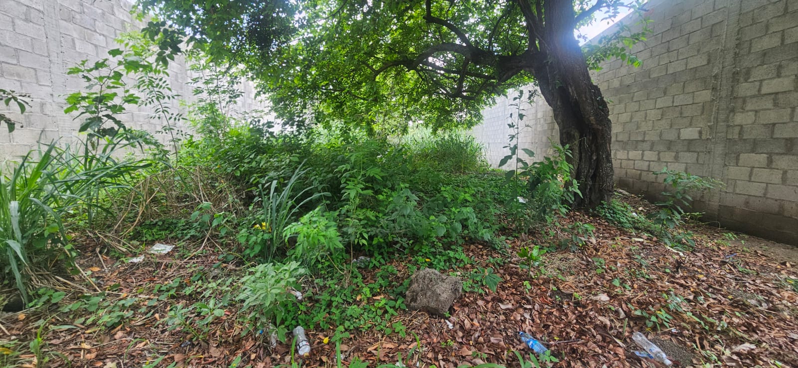 3 LOTES EN VENTA – LOTIFICACIÓN SAN NICOLÁS