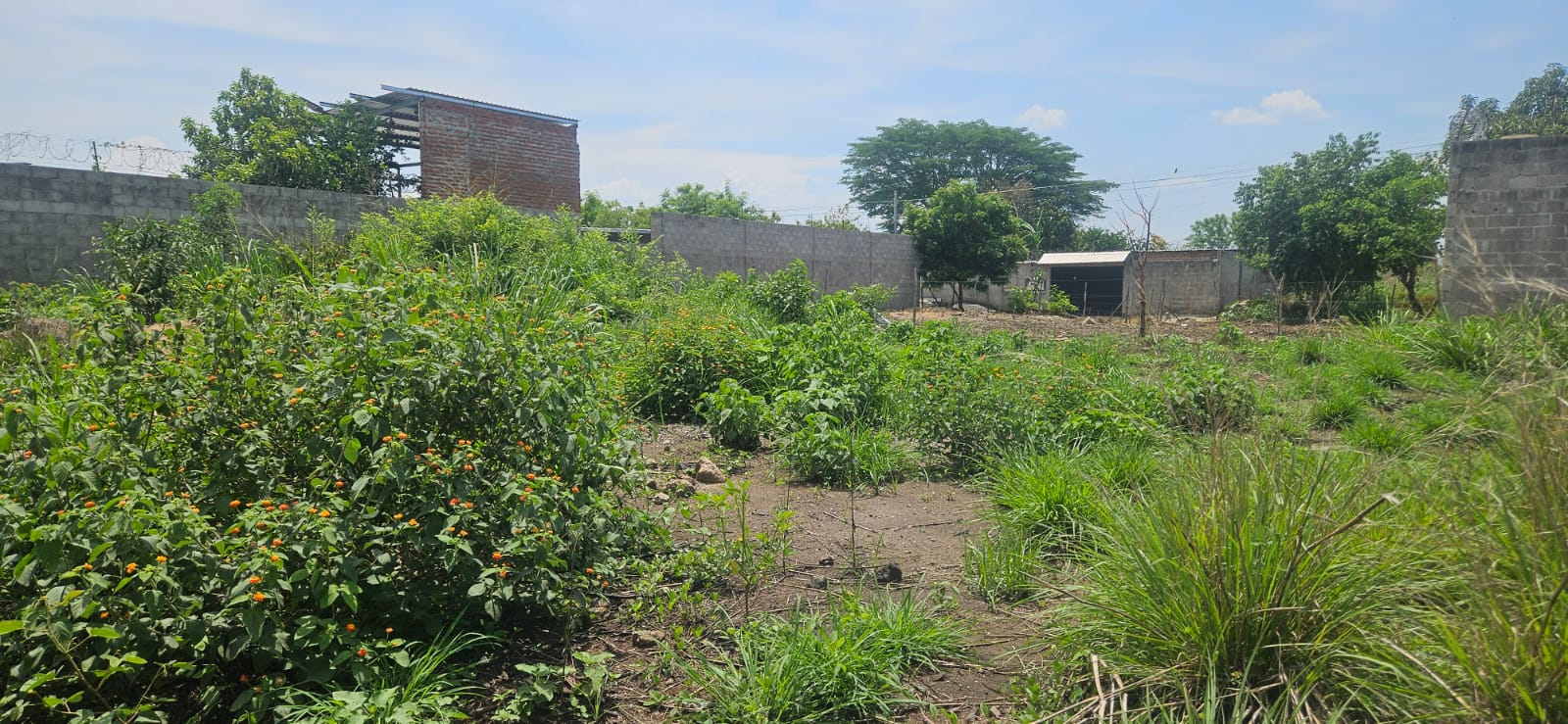 3 LOTES EN VENTA – LOTIFICACIÓN SAN NICOLÁS