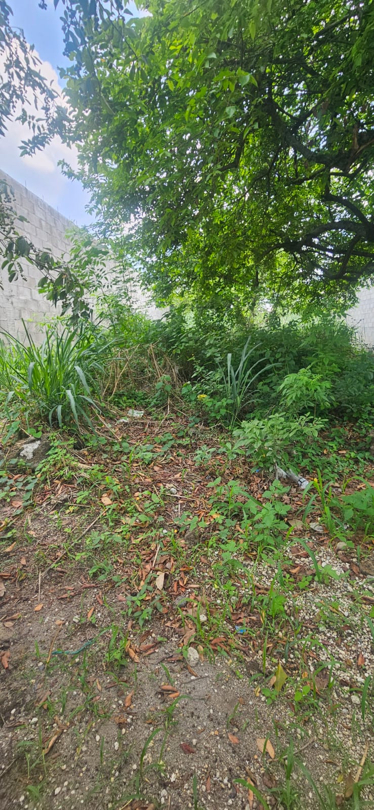 3 LOTES EN VENTA – LOTIFICACIÓN SAN NICOLÁS
