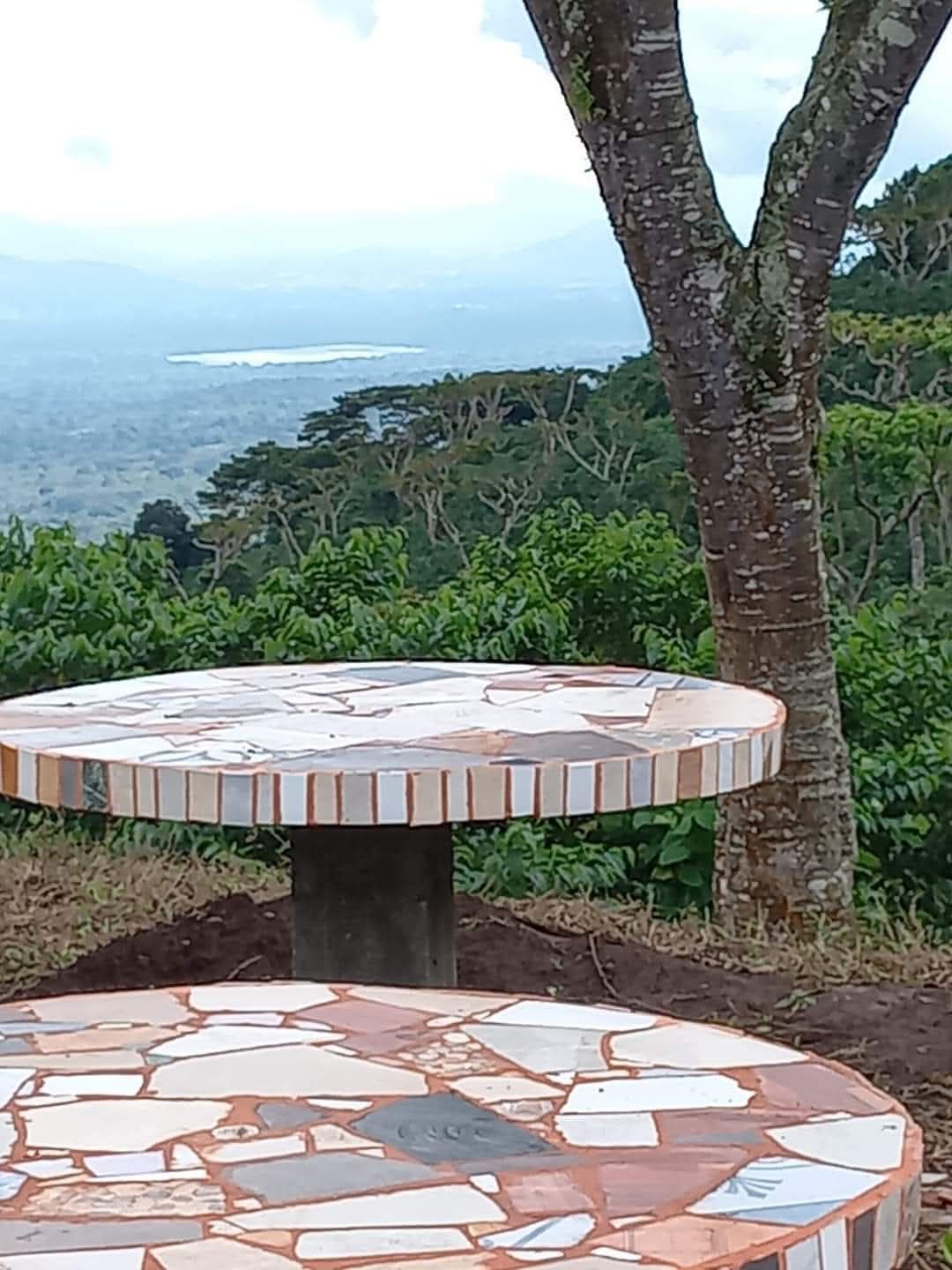 Terreno en Los Naranjos zona de Restaurante Está Carbón