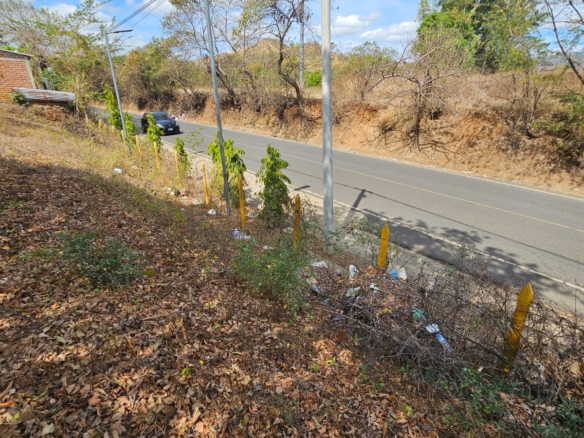 Terreno en Santa Ana frente a Carretera que conduce de Santa Ana a Tacachico