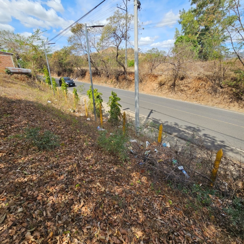 Terreno en Santa Ana frente a Carretera que conduce de Santa Ana a Tacachico