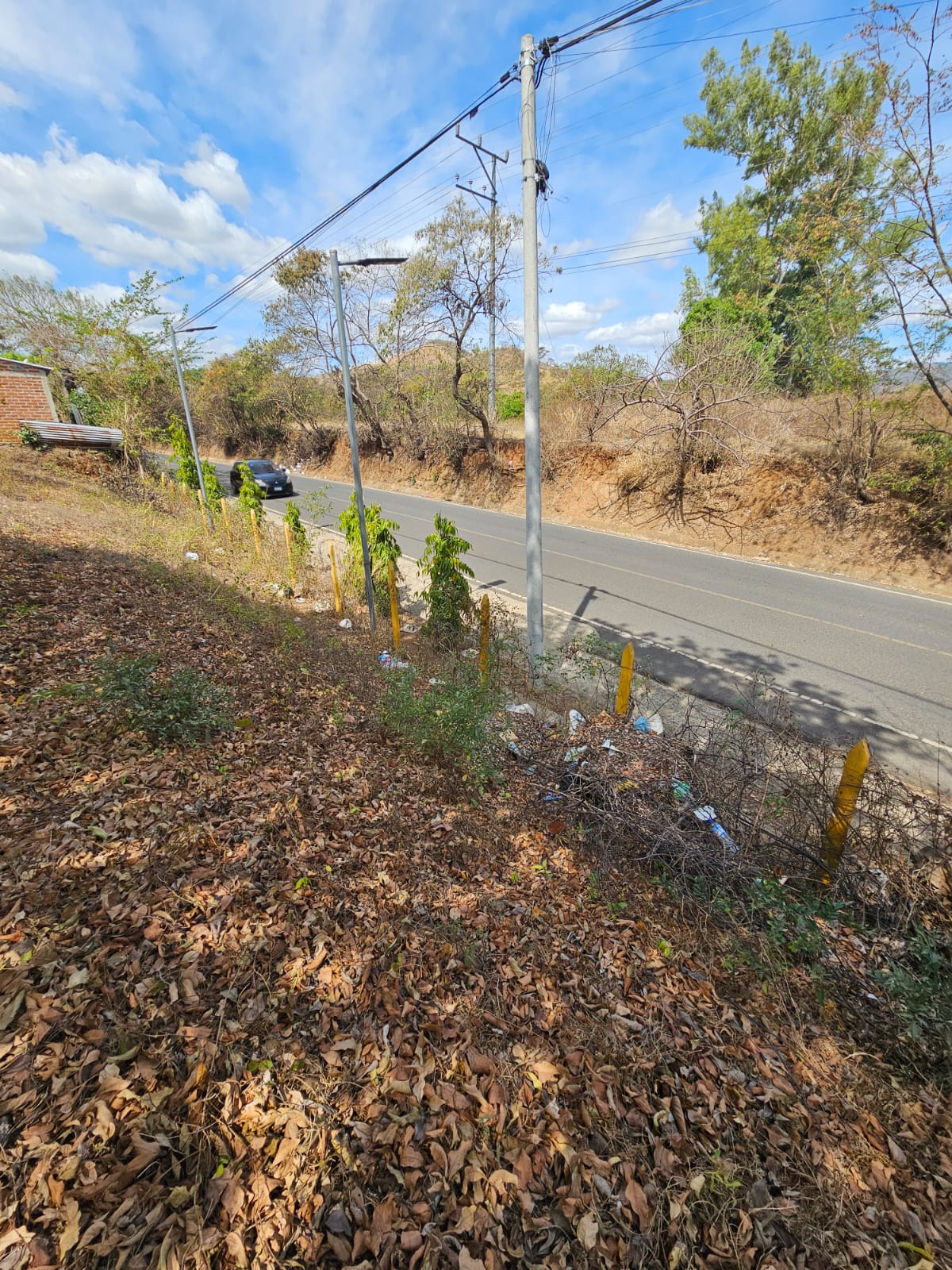 Terreno en Santa Ana frente a Carretera que conduce de Santa Ana a Tacachico