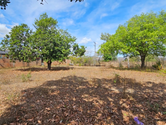 Terreno en Santa Ana frente a Carretera que conduce de Santa Ana a Tacachico