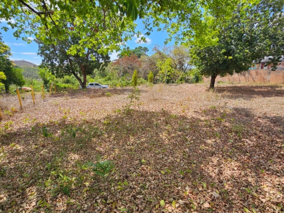 Terreno en Santa Ana frente a Carretera que conduce de Santa Ana a Tacachico