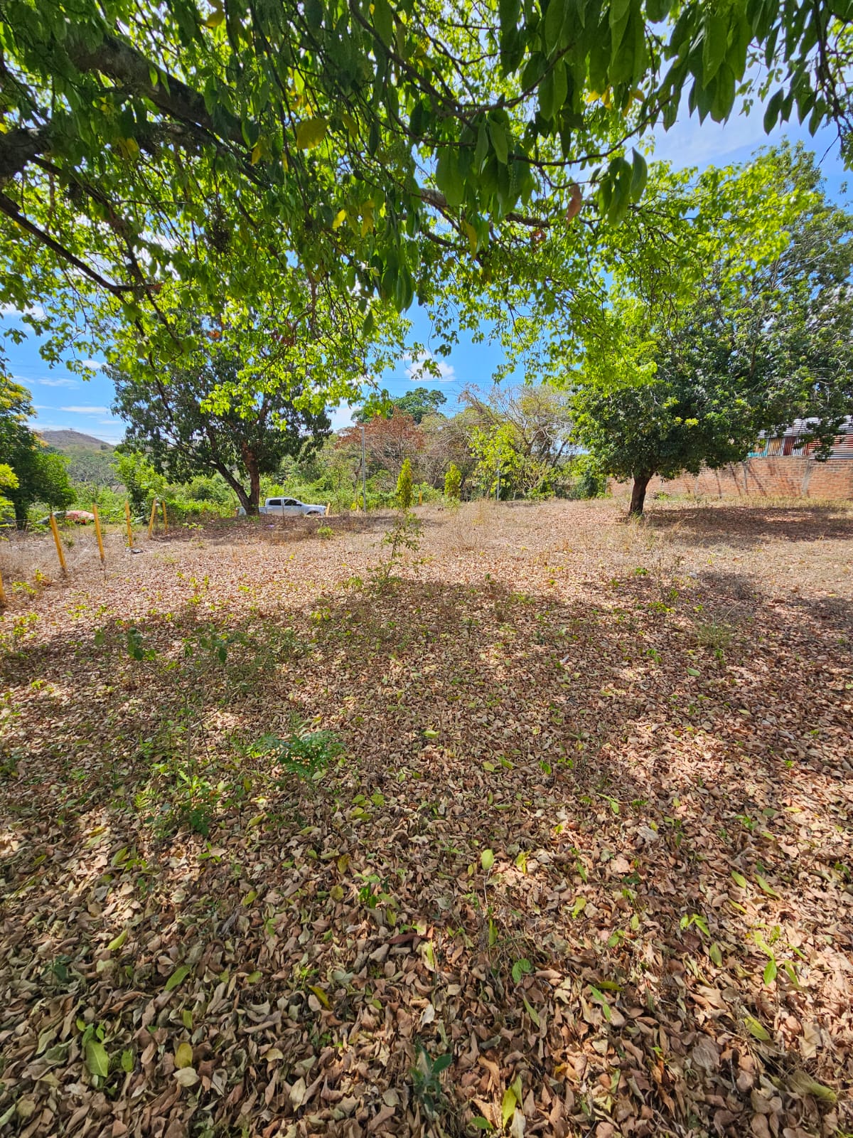 Terreno en Santa Ana frente a Carretera que conduce de Santa Ana a Tacachico