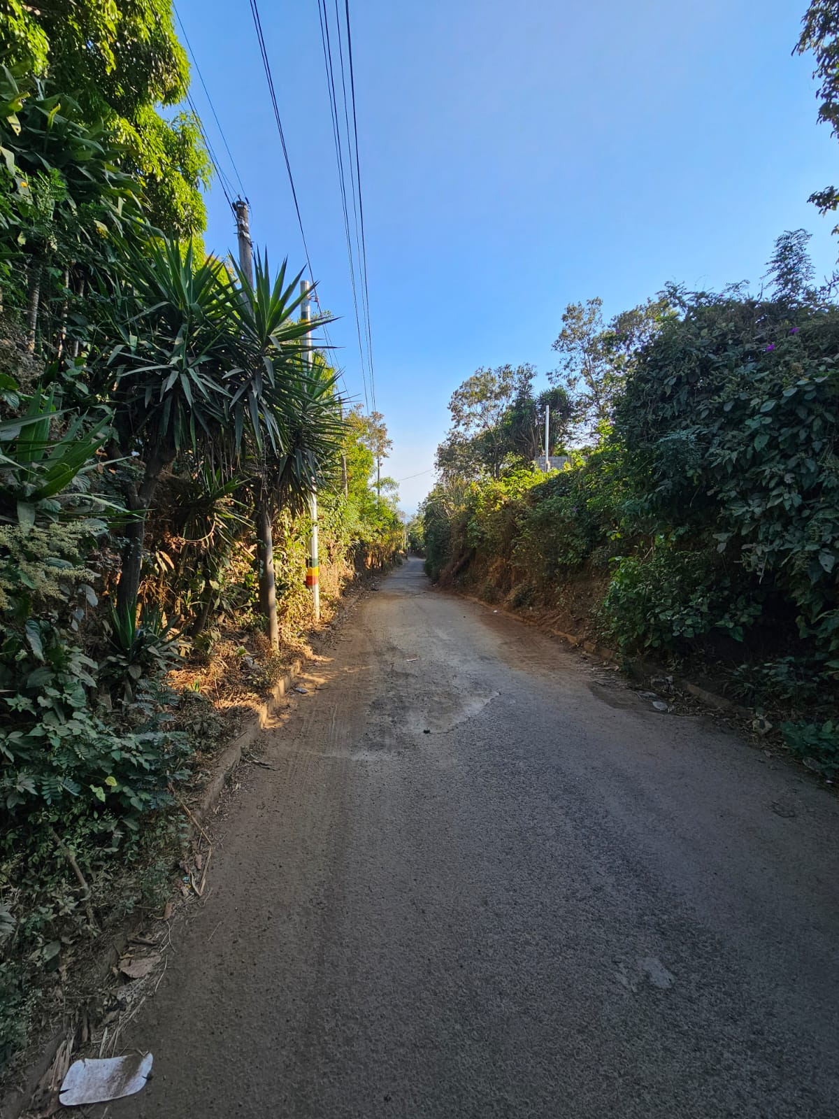 Parcelas de media manzana en Salcoatitan Ruta de las flores