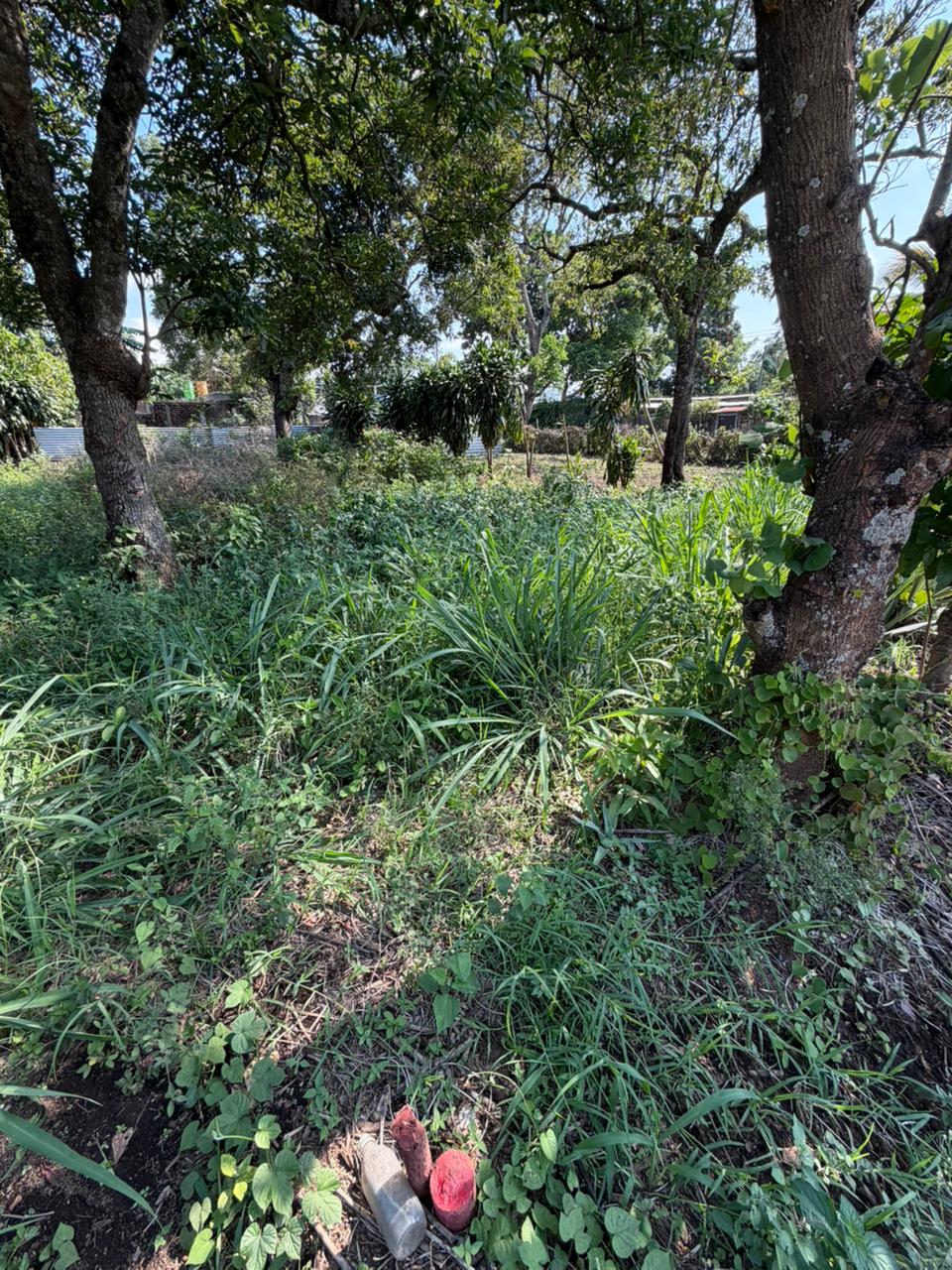 LOTE EN VENTA COLONIA CRISTALES-SANTA ANA CERCA DE REDONDEL LA CEIBA
