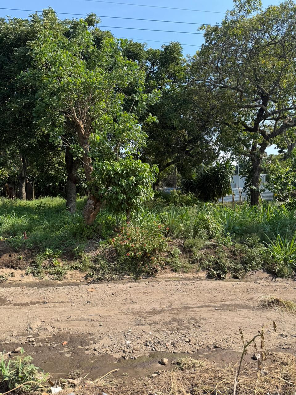 LOTE EN VENTA COLONIA CRISTALES-SANTA ANA CERCA DE REDONDEL LA CEIBA