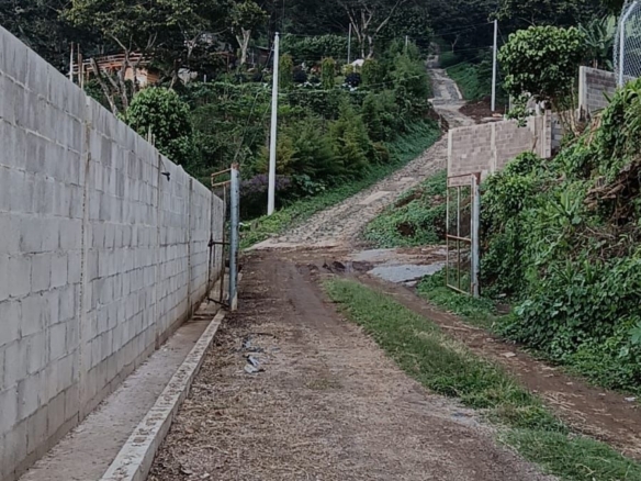 Terreno en Los Naranjos zona de Restaurante Está Carbón