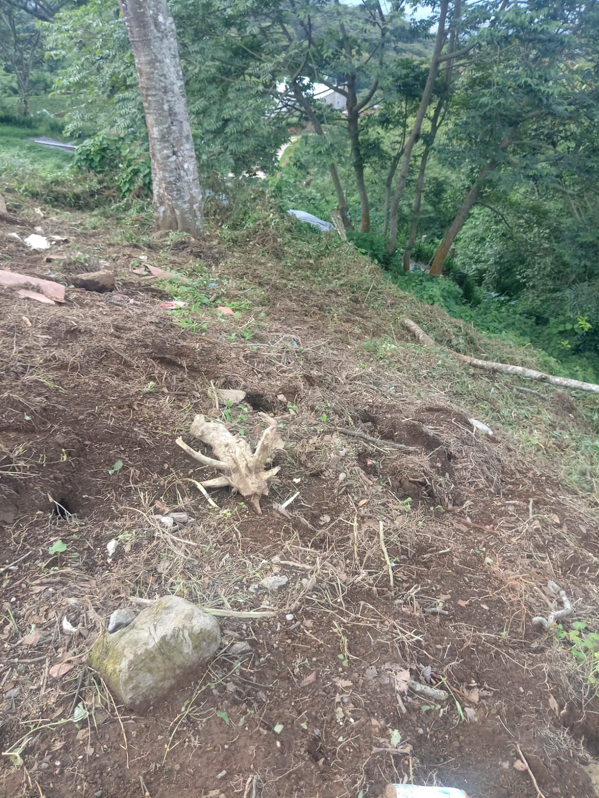 Terreno en Los Naranjos zona de Restaurante Está Carbón