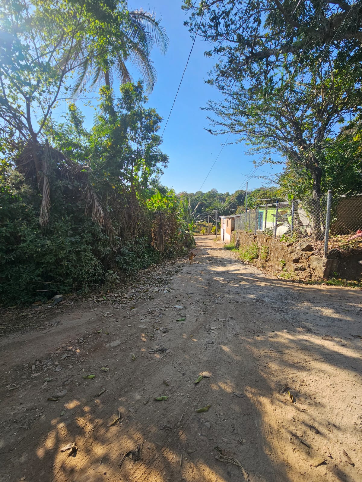 Lote de Esquina en Venta en Colonia Santa Marina, a 2.6 km de UNICAES Santa Ana