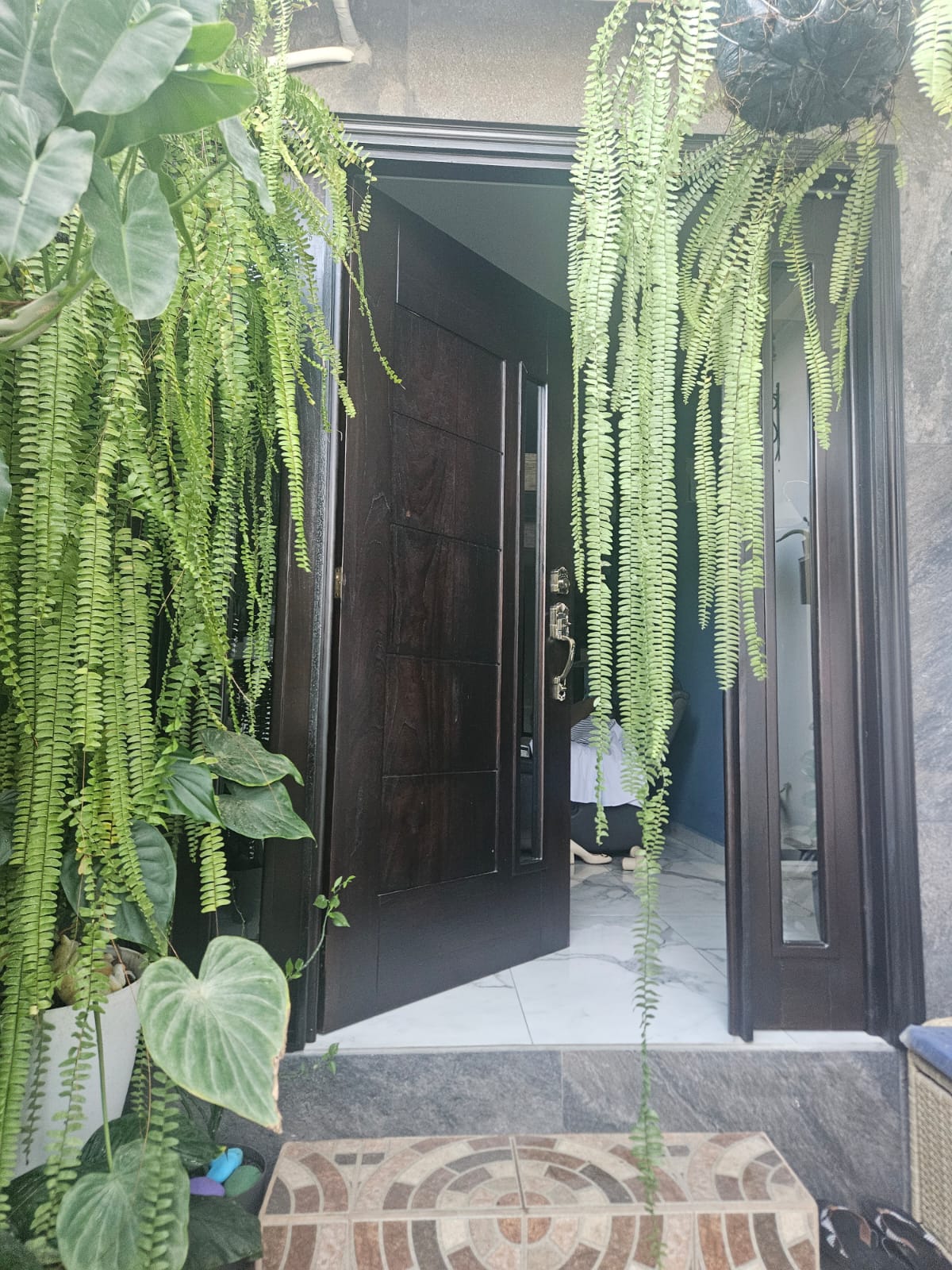 MODERNA Y ELEGANTE CASA EN VENTA,BELLA SANTA ANA