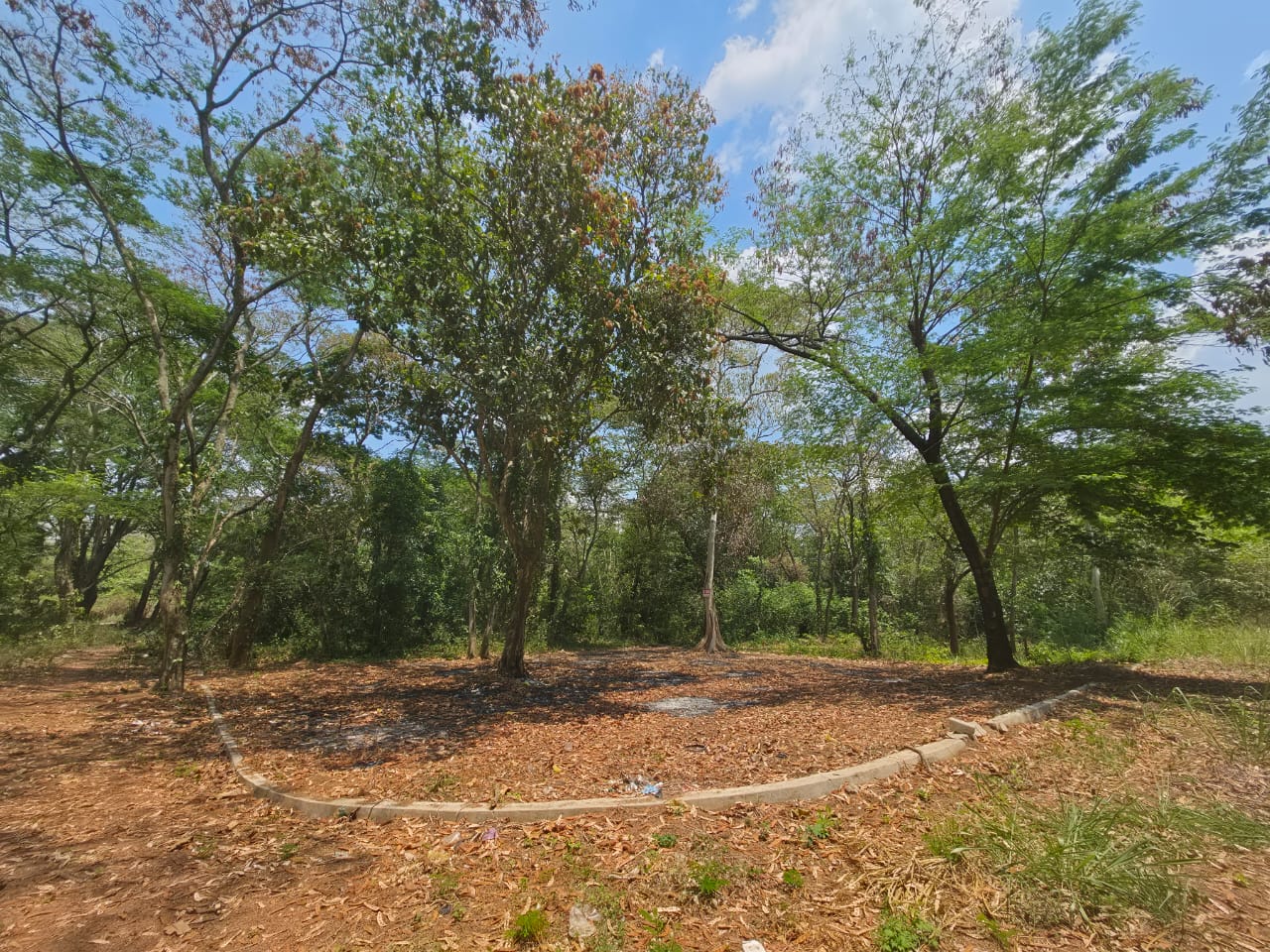 🚨TERRENO EN VENTA DE ESQUINA, URB. EL TREBOL🚨