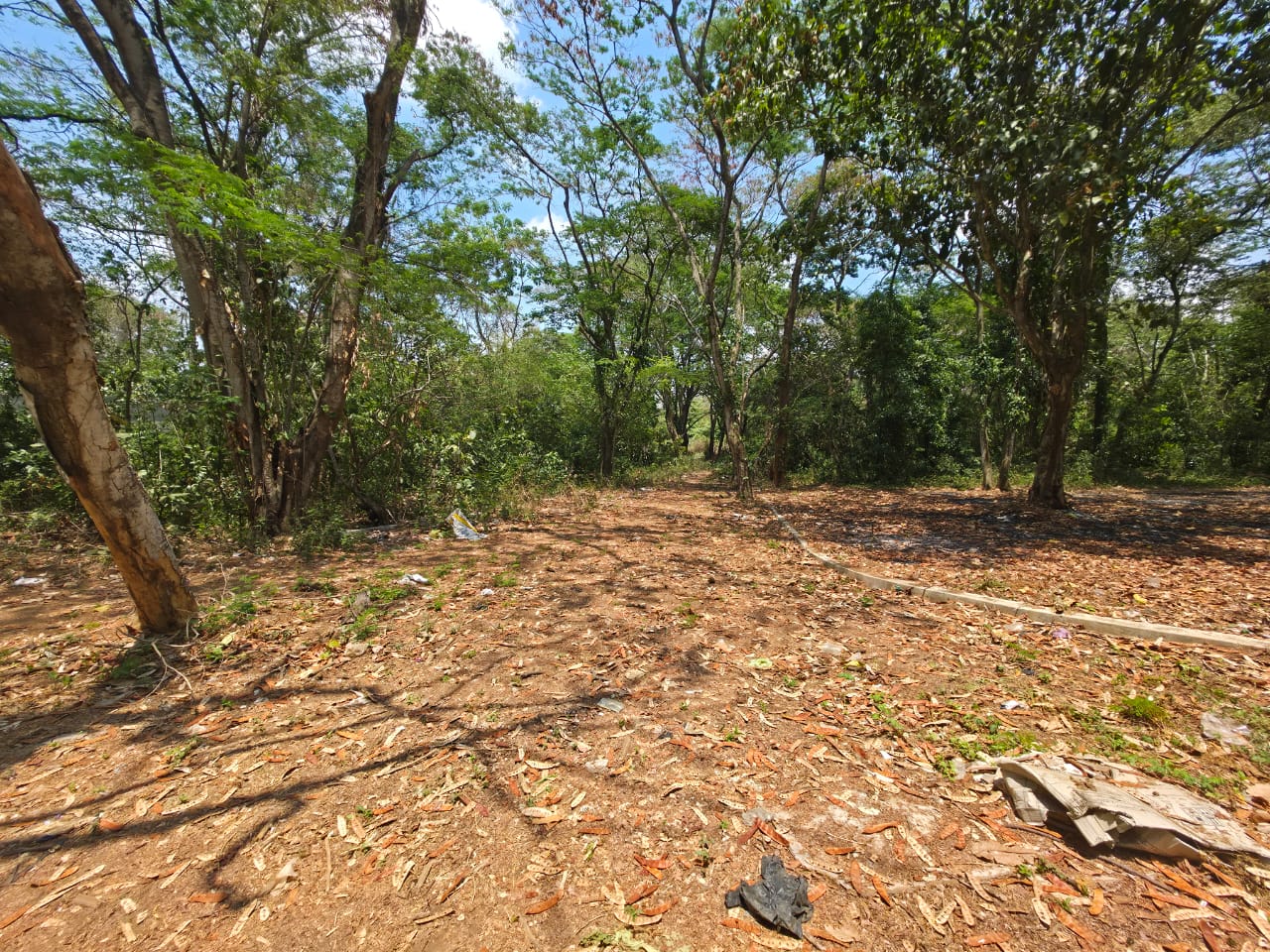 🚨TERRENO EN VENTA DE ESQUINA, URB. EL TREBOL🚨