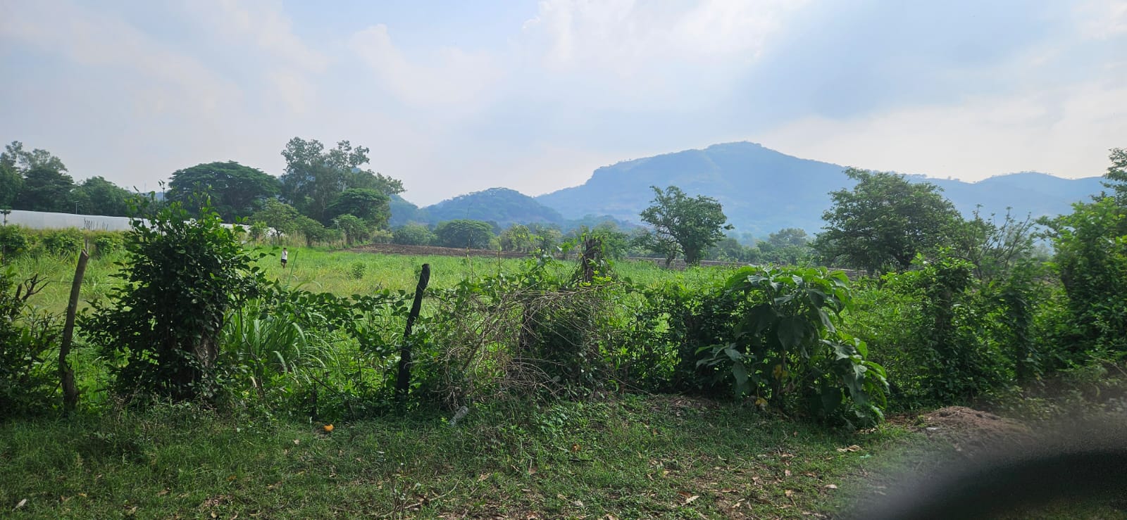 Terreno Plano de 2.5 Manzanas en Venta en Santa Ana – Ideal para Lotificación o Inversión