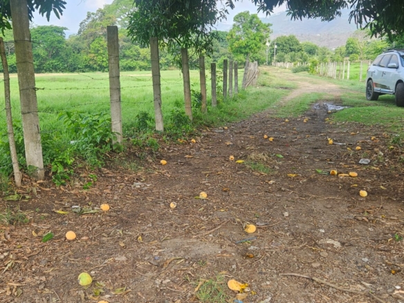 Terreno Plano de 2.5 Manzanas en Venta en Santa Ana – Ideal para Lotificación o Inversión