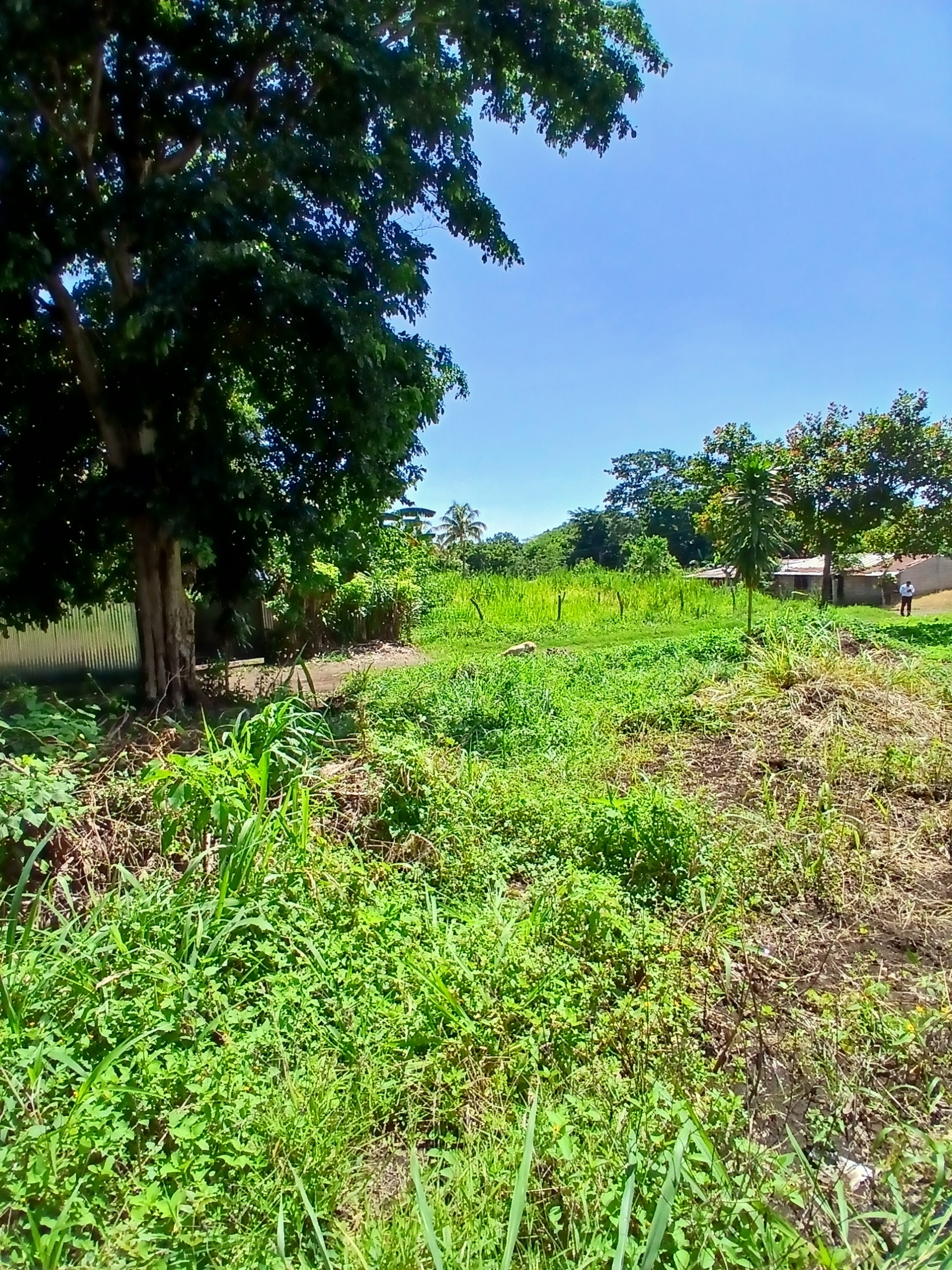EN VENTA LOTE DE ESQUINA EN LOTIFICACION LAS MARÍAS,SANTA ANA